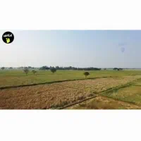 زمین کشاورزی