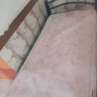 مایل با معاوزه نیستم