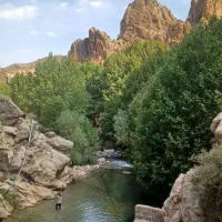 فروش-باغ-به-متراژ-500-متر-مربع