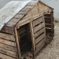 قفس مرغ و پرنده|لوازم جانبی حیوانات|رامسر, |دیوار