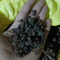 کشمش افتابی سالم|خوردنی و آشامیدنی|نیشابور, فضل|دیوار