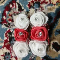 گیر گلی.                  سفارش هم قبول می کنیم