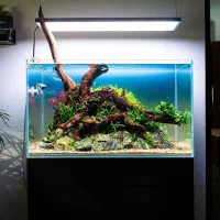 آکواریوم شیشه خم