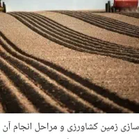 اجاره زمین کشاورزی