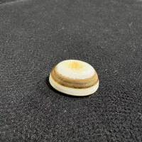 نگین باباقوری نو