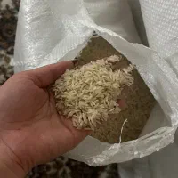 برنج شمال و رب انار محلی|خوردنی و آشامیدنی|مشهد, کوشش|دیوار