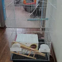 قفس بزرگ  با لانه و متعلقات