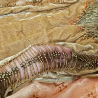 لباس محلی|لباس|یاسوج, |دیوار