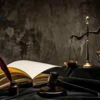 ضامن دادگاه میشم