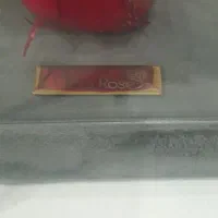 رز جاودان|گل و گیاه طبیعی|تهران, بیسیم|دیوار