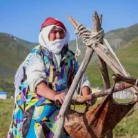 ماست وچکیده کره گوسفندی تازه