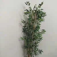 درختچه گل مصنوعی|گل مصنوعی|گتوند, |دیوار