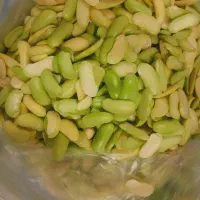 باقالی چشم بلبی|خوردنی و آشامیدنی|رشت, دباغیان|دیوار