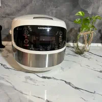 پلوپز گاسونیک ۱۲ کاره