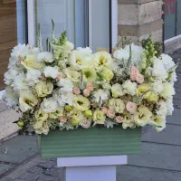 باکس گل ارمغان کد ۱۸۱۹ گلاریس