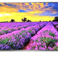 تلوزیون 55 اینچ باکیفیت تی سی ال TCL مدل P655|تلویزیون و پروژکتور|کاشمر, |دیوار