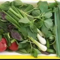 سبزی خوردنی پاک شده