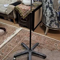 استند ‌ برای طوطی