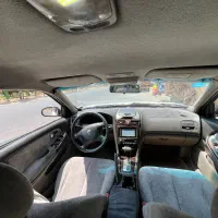ماکسیما