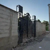 داخل بافت سند تک برگ خوش ابعاد