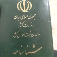 مدارک وشناسنامه پیدا کردیم