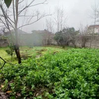 زمین با کاربری مسکونی|فروش زمین و ملک کلنگی|رودبنه, |دیوار