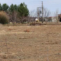 زمین۵۰۰متر(سنددار)سهیلیه.زعفرانیه.کردان|فروش زمین و ملک کلنگی|کرج, مهرویلا جنوبی|دیوار