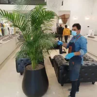 خدمات باغبانی باغچه کاری تعویض خاک گلدان کاشت گل و|خدمات باغبانی و درختکاری|تهران, صادقیه|دیوار