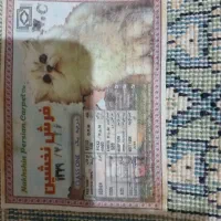 قالیچه