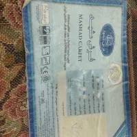 یدونه فرش ۱۲متری مشهد، نو،|فرش|سبزوار, سجاد|دیوار