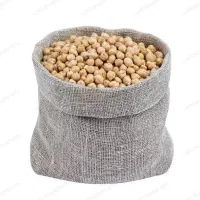 فروش نخود بذری قیمت مناسب