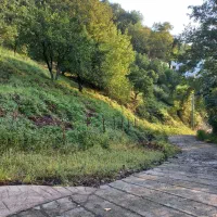 ۵۰۵۱ متر زمین محیط دنج مناسب همسایگی ویلاسازی شده|فروش زمین و ملک کلنگی|چابکسر, |دیوار