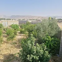 فروش زمین ۵۸۵ متری|فروش زمین و ملک کلنگی|ایذه, |دیوار