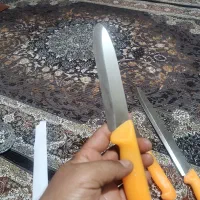 چاقو آشپزی|ظروف پختوپز|صباشهر, |دیوار