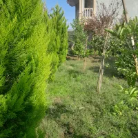 هرس وکلیه کارهای باغبانی|خدمات باغبانی و درختکاری|بندر انزلی, دهکده ساحلی|دیوار