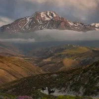 عسل طبیعی ساوالان صادراتی|خوردنی و آشامیدنی|سرعین, |دیوار