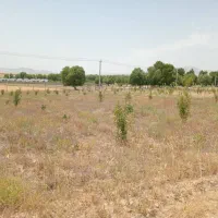 باغ ۹۰۰۰هزار متر|فروش زمین و ملک کلنگی|نیر (اردبیل), |دیوار