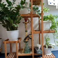 استند گل در حد نو