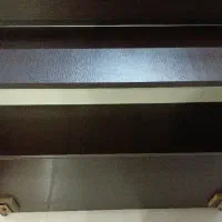 تخت یکنفره|تخت و سرویس خواب|رشت, کاکتوس|دیوار