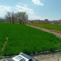 ۴ عدد دوربین شکاری مینی