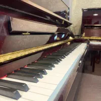 شرایط ویژه انواع پیانوفروش6تا12ماه ارسال سراسرکشور