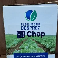 بذر چغندر coop