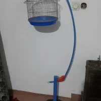 قفس