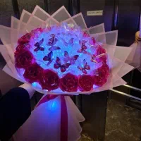 بوکت پروانه