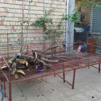 تخت آهنی مناسب حیاط وباغ