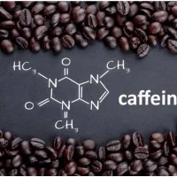 مرکز تخصصی رست دان قهوه