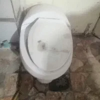 توالت فرنگی