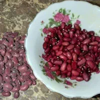 فروش لوبیاسفید و قرمز و نخود|خوردنی و آشامیدنی|تهران, حر|دیوار