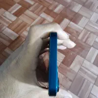 آیفون ۱۳نرمال|موبایل|سنندج, |دیوار