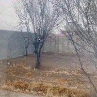 185متر-زمین-وباغچه-سند-تک-برگ-سهیلیه-زعفرانیه